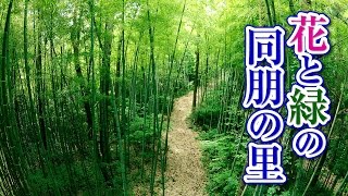 【浄土真宗親鸞会の施設紹介】花と緑の同朋の里｜富山県射水市