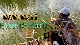 DICAS DE PESCARIA DE TILÁPIA NA DIÁRIA PONTO DE PESCA - PESQUEIRO DO MARCO