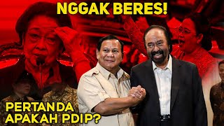 GILIRAN PUAN \u0026 MEGAWATI BEDA SIKAP ! SURYA PALOH GETARKAN PDIP, KIM PLUS MAKIN MENGERUCUT🔥