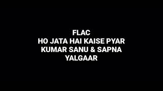 Ho Jata Hai Kaise Pyar: Kumar Sanu & Sapna: Yalgaar: Hq Audio Flac 90s Hindi Song