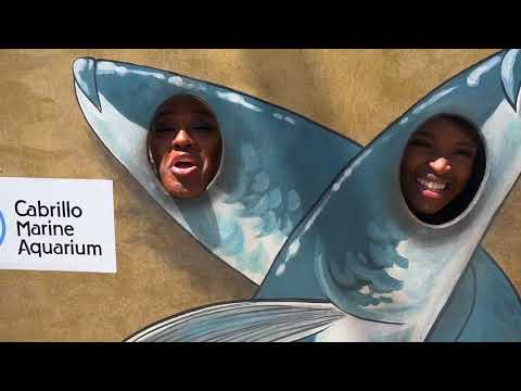 Brown Girls Travel Takes San Pedro! Episode 1. Brown Girls Travel Takes San Pedro! Episode 1.