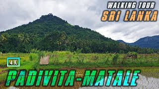 Sri Lanka walking tour 2022 | Padivita - Matale | 4K Sri Lanka