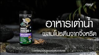 นวัตกรรมใหม่ล่าสุด อาหารเต่าน้ำผสมโปรตีนจากจิ้งหรีด DEEP TURTLE \u0026 REPTILE