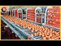 Food Industry Machines That Are At Another Level ▶3