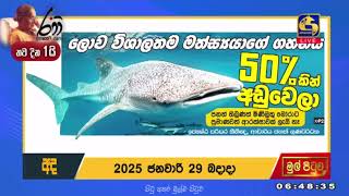 ලොව විශාලතම මත්ස්‍යාගේ ගහනය 50%කින් අඩු වෙලා - ප්‍රමාණවත් ආරක්ෂාවක් ලැබී නැහැ