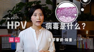 「医学常识」什么是 HPV 病毒？它可以引起很多疾病，甚至癌症，最有名的就是女性宫颈癌