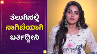 ತೆಲುಗಿನಲ್ಲಿ ನಾಗಿಣಿಯಾಗಿ ಬರ್ತಿದ್ದೀನಿ | Mane Mane Meenakshi | Ashwini | NewsFirst Kannada