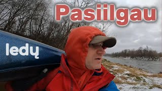 Pasiilgau ledų 1215