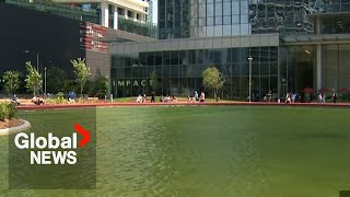 Love gone sour? Toronto's new heart-shaped pond turns green