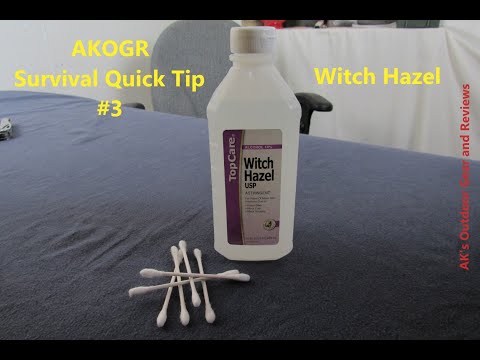 What Insects Come To Witch Hazel