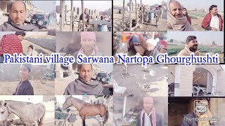 pakistan village life Sarwana ghourghushti Nartopa street food villagers help each other Mansab vlog