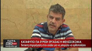 Καταφύγιο για εύρεση εργασίας η μελισσοκομία - Δείτε το ρεπορτάζ