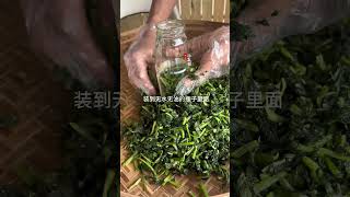 萝卜打下来的底叶拿来制作酸菜三碗米饭都嫌不够。#关注我一起学种菜 #种植小技巧 #三农