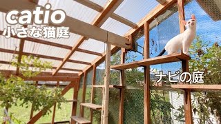 catio【ナビの猫庭】子猫がひとりで庭遊び出来るまで