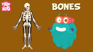 Bones | The Dr. Binocs Show | Learn s For Kids