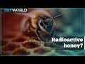 Radioactive contamination in American honey