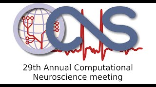 CNS*2020: Workshop 01: Session 10: Information flow under visual cortical magnification