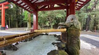 霧島市霧島田口 台風あけ朝の霧島神宮 2020/09/08 4K - Kirishima Jingu -