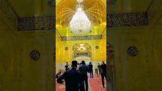 Zayart | Haram Mola Abbas | karbala Iraq #shorts #stutsvideo #viralvideo