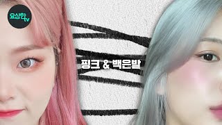 염색한지 2달..아직도 핑크색이네..(핑크&백은발 염색 사용설명서)  feat.슈바츠코프_요상한TV