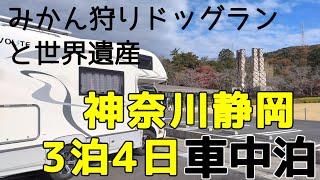 キャンピングカーで行く神奈川真鶴　豪華舟盛うに清　みかん狩りとドッグランが一緒に楽しめる松本農園　RVパーク代官屋敷車中泊で世界遺産へ【キャンピングカー車中泊クレソンボヤージュwith dog】