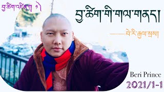 བྱ་ཚིག་འཛིན་གྲྭ ༡ བྱ་ཚིག་གི་གལ་གནད། importance of Verb usage in Tibetan