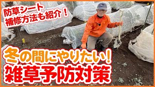 家庭菜園や農園で春に備えて雑草根絶！低コストで簡単に出来る防草シートの補修方法！お得に畑管理する方法をご紹介【農園ライフ】