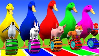 5 Giant Duck Cartoon, Paint & Animals Lion, Gorilla, Bear,Tiger , Cow Wild Animals Crossing Fountain