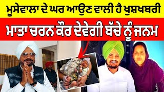 Sidhu Moose Wala ਦੇ ਘਰ ਆਉਣ ਵਾਲੀ ਹੈ ਖੁਸ਼ਖਬਰੀ | ਮਾਤਾ Charan Kaur ਮਾਰਚ ਮਹੀਨੇ ਬੱਚੇ ਨੂੰ ਦੇਣਗੇ ਜਨਮ