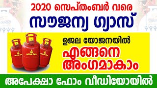 കോവിഡ് കേന്ദ്ര സഹായം സൗജന്യ ഗ്യാസ് സിലിണ്ടര്‍ 3 മാസത്തേക്ക് |പദ്ധതിയില്‍ എങ്ങനെ അഗംമാകാം