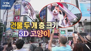 [세상만사] 일본 도쿄 신주쿠역 앞 대형 3D 고양이 큰 인기 / YTN 사이언스