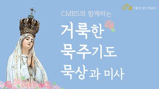 CMBS와 함께하는 거룩한 묵주기도 묵상과 미사 (2021년 7월 17일) 환희의 신비