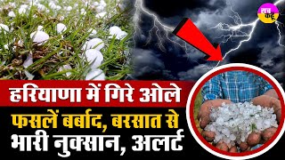 Haryana में तेज बरसात के साथ गिरे ओले | IMD Alert |  Hailstorm Haryana | Heavy Rain | Weather Alert