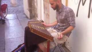 Zakaria plays improvisation on the Santur in Lyon (Santour).