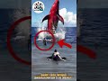 Unbelievable Footage of a Giant Red Whale Breaching on the Beach #amazing #movie