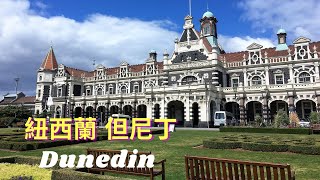 [國外旅行] 2019 New Zealand 紐西蘭但尼丁EP7~一場愛與企鵝的旅行 🧳29