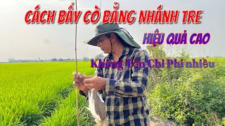 Cách Bẫy Cò Cực Kỳ Hiệu Quả Cao Bằng Nhánh Tre Không Tốn Chi Phí Nhiều