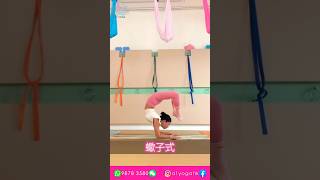 瑜伽動作示範 蠍子式 #shorts #yoga #aerialyoga #瑜伽 #美女 #瘦身 #減肥 #教學 #香港 #a1yogahk #拉筋 #伸展 #熱身 #瑜伽練習 #蠍子式