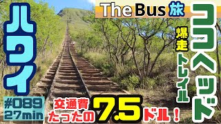 【ハワイのザバス旅】ココヘッド登山してきました⛰️ザバスだけでも行けました🚌[089]