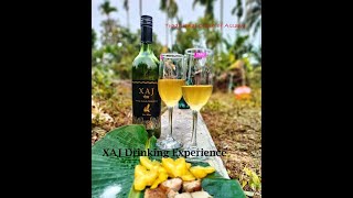 XAJ Rice Wine Experience \u0026 Review #traditionaldrink #ricewine #stickyrice #assam