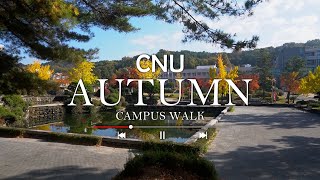 CNU AUTUMN CAMPUS WALK | 충남대학교 | 충남대 | CNU | 대학교 걷기