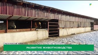 Развитие животноводства