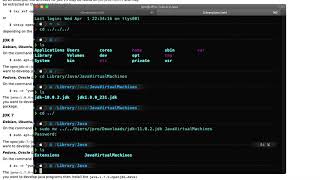 Installing Java11 Through OpenJDK on macOS