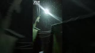 没看过雪的南方人，，半夜下雪都起来看