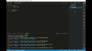 Debug Python inside Docker using debugpy and VSCode