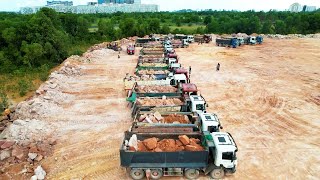 Nicely View With Dump Trucks Management Waiting To Unload While Some Dozer Has Been Broken