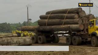 Gabon : Greenply construira une usine de contreplaqués à Nkok   #gabon