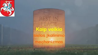 Kaip veikia sielų įkalinimo mechanizmas – Mirties Spąstai?