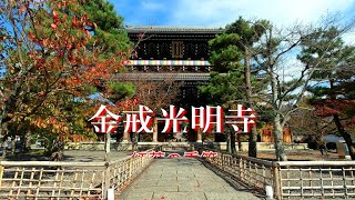 2021年11月8日　京都　金戒光明寺の紅葉の風景