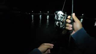 Silikon Sülünez / Boru Kurdu ile Liman İçi Gece LRF Avı #fishing #balıkçılık #lrf